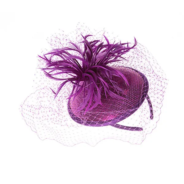 Something Special - Feather Fascinator Hat with Lace Veil